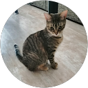 Maribel A profile picture