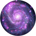 Sergi Perez profile picture